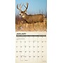 2026 Willow Creek Canadian Fish & Wild Game 12" x 12" Monthly Wall Calendar (50538)~#|#~6DC09C62-BDB2-4012-9A816189C38BD07A_sc7