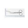 Medline 5.5" Stainless Steel Lister Bandage Medical Scissors, Pointed/Blunt Tip, Silver, 12/Box (MDS10478)~#|#~6DD1B250-3E75-41C7-B5888D63324658F4_sc7