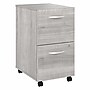 Bush Business Furniture Studio A 2-Drawer Mobile Vertical File Cabinet, Letter/Legal Size, Lockable, Platinum Gray(SDF116PGSU-Z)~#|#~6DD60A9E-0BD6-40CD-9BD9057F6CD8E61A_sc7