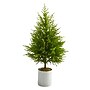 Nearly Natural Norfolk Island Pine Natural Look Artificial Tree, 49" (T1509)~#|#~6DE56007-EB7F-4700-9E94C1E9BE214C2F_sc7