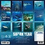 2026 Willow Creek Shark Year 12" x 12" Monthly Wall Calendar (52747)~#|#~6DE98F50-59F5-4A60-BC9092166061538B_sc7