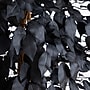 Nearly Natural Artificial Halloween Black Ficus Tree, 6' (T5137)~#|#~6DF2BAAF-6782-4F57-A2012ADED9EC5D13_sc7