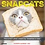 2027 Willow Creek Snapcats 12" x 12" Monthly Wall Calendar, Assorted Colors (62401)~#|#~6DF683E4-93B8-44BB-9F5B2535D42BCB25_sc7
