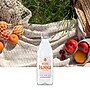 Acqua Panna Natural Spring Water, 16.9 oz., 24/Carton (12117620)~#|#~6DF804D7-522A-4378-98F6FACD7CEE2B51_sc7
