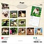2026 BrownTrout Pugs 12" x 12" Monthly Wall Calendar (9798330705238)~#|#~6E0E90E2-A2C8-48F5-8F2CDFF911003C16_sc7
