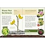 Plants That Break the Rules Picture Book, Paperback~#|#~6E0E9A81-6B4E-4330-BDF63E058C387C6C_sc7