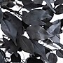 Nearly Natural Artificial Halloween Black Ficus Tree, 5' (T5136)~#|#~6E160530-AB13-4E63-B8EAFF4D80F0D6B4_sc7