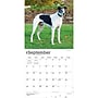 2027 BrownTrout Greyhounds 12" x 12" Monthly Wall Calendar (9798330712502)~#|#~6E2A88F0-854E-46DC-B882323F85C86A2F_sc7