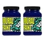 Chroma Acrylic Mural Paint, Acid (Dark Blue), 16 oz., 2/Bundle (CRM2476-2)~#|#~6E2F6230-AA02-4FED-9BDFF2DD15C94263_sc7