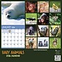 2026 TF Publishing Baby Animals 12" x 12" Monthly Wall Calendar, Multi (26-1000)~#|#~6E463723-4A2F-4505-A4CCCF855D206AA5_sc7
