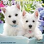 2027 Willow Creek Westie Puppies 12" x 12" Monthly Wall Calendar, Assorted Colors (62852)~#|#~6E4CDE0E-CF01-499A-B53436E5C0C4EA9A_sc7