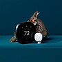 Ecobee Premium Smart Programmable Touch-Screen Thermostat, Smart Sensor Included (EB-STATE6-01)~#|#~6E6A5B5F-F74D-4ACE-9A7FD941E9A0F3B6_sc7