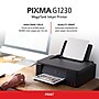 Canon PIXMA G1230 Color Inkjet Printer, Single-Function Supertank, Print (PIXMA G1230)~#|#~6E78DFA7-A115-4262-9CA8F5EDED5599C4_sc7