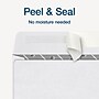 Adams 2025 1099 Envelopes, 2-Up Format, Double-Window, Self-Seal, Security Tinted, White, 25/Pack (STAX1-25)~#|#~6E823AF6-C978-4D69-8C696477B656C16A_sc7