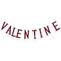 National Tree Company 6ft. "VALENTINE" Streamer (RAV-XG5894-1)~#|#~6E8B2BCC-D85E-4C6B-938A5890CBB60A5A_sc7