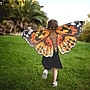 Insect Lore Dress-Up Painted Lady Butterfly Wings, Multicolored (ILP4800)~#|#~6E943E93-AF2B-4C2E-BB3A5B96ED12CEB1_sc7