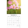 2026 Brush Dance Simplicity 12" x 12" Monthly Wall Calendar (9798330705627)~#|#~6EB2DB77-15CE-4AB5-A6DE65003496A607_sc7
