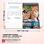 2027 BrownTrout Kittens 7.5" x 6" Monthly Wall Calendar, Assorted Colors (9798330709373)~#|#~6EBF914C-A80D-4CC0-877E25B66D98F858_sc7