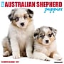 2027 Willow Creek Australian Shepherd Puppies 12" x 12" Monthly Wall Calendar, Assorted Colors (58923)~#|#~6EE80359-2FB8-4D56-85B929B78772888B_sc7