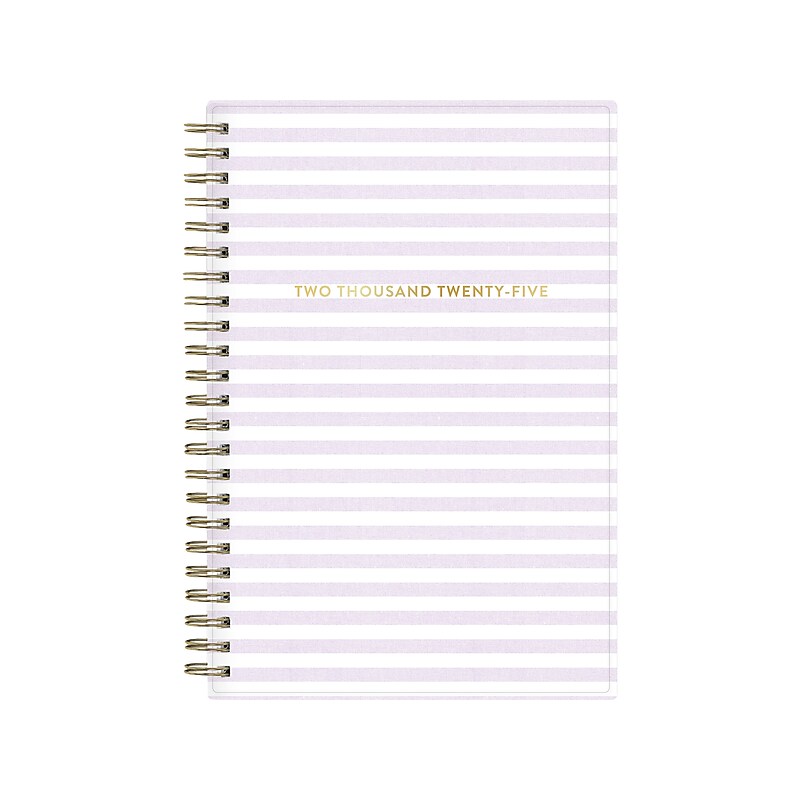 2025 Blue Sky Wednesday Stripe 5" x 8" Weekly & Monthly Planner, Plastic Cover, Purple/White (147944) image 1