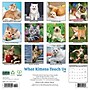 2026 Willow Creek What Kittens Teach Us 12" x 12" Monthly Wall Calendar (53201)~#|#~6EF9B522-C27F-45D9-B5D8DF05D7E59874_sc7