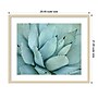 Amanti Art Agave Detail IV by Brittany Evans Wood Framed Wall Art Print, 25"W x 21"H (A42678978405)~#|#~6EFA7A8F-EAF8-4860-831349ECD1E73161_sc7