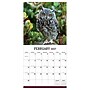 2027 TF Publishing Owls 11" x 12" Monthly Wall Calendar, Multicolored (27-1044)~#|#~6F203ABA-DFDD-4D65-97B475CDF77052E4_sc7