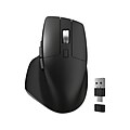 Delton S18 Wireless Optical Mouse, Black (DMS18-WB)
