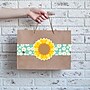 Creative Teaching Press Core Decor EZ Border, 3" x 2', Daisy Bug, 24/Pack, 3 Packs/Bundle (CTP11047-3)~#|#~6F43BBFE-69FF-4BBC-872D1633A6A75C50_sc7