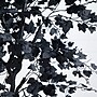 Nearly Natural Artificial Halloween Black Maple Tree, 6' (T5158)~#|#~6F6D458C-54CA-423E-81683EF3B9A4BA62_sc7