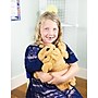 Bouncyband Happy Hugs Sensory Weighted Plush Bulldog (BBALPBD)~#|#~6F82E4B5-655A-4CFF-8F1949E03C6E3D89_sc7