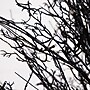 Nearly Natural 5' Pre-Lit Halloween Black Twig Artificial Fall Tree in Burlap Planter with 85 Warm White LED Lights (T4728)~#|#~6F873FC1-0CE0-4835-A6A7941024122AC0_sc7