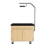 Diversified Woodcrafts Hydroponics Growing Center Table, Maple/Silver (HGCMS)~#|#~6F8D7826-1351-40EF-8DE0D19F7BA37BCA_sc7