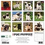 2027 Willow Creek Pug Puppies 12" x 12" Monthly Wall Calendar (61930)~#|#~6FA8C894-6ADF-4841-943B8E87A481EACC_sc7