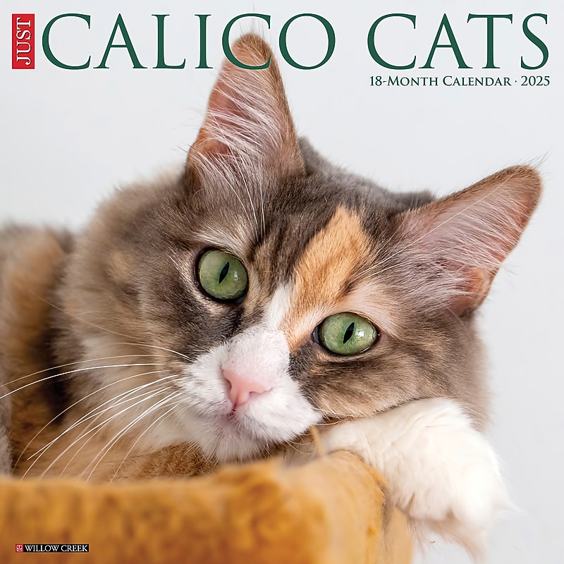 Calico Cats 2025 Wall Calendar