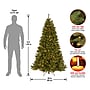 National Tree Company North Valley Spruce Artificial Christmas Tree, 6 ft., Clear Lights (NRV7-300-60)~#|#~6FB464F6-E2FC-48F7-9692B09BB35EFCEC_sc7