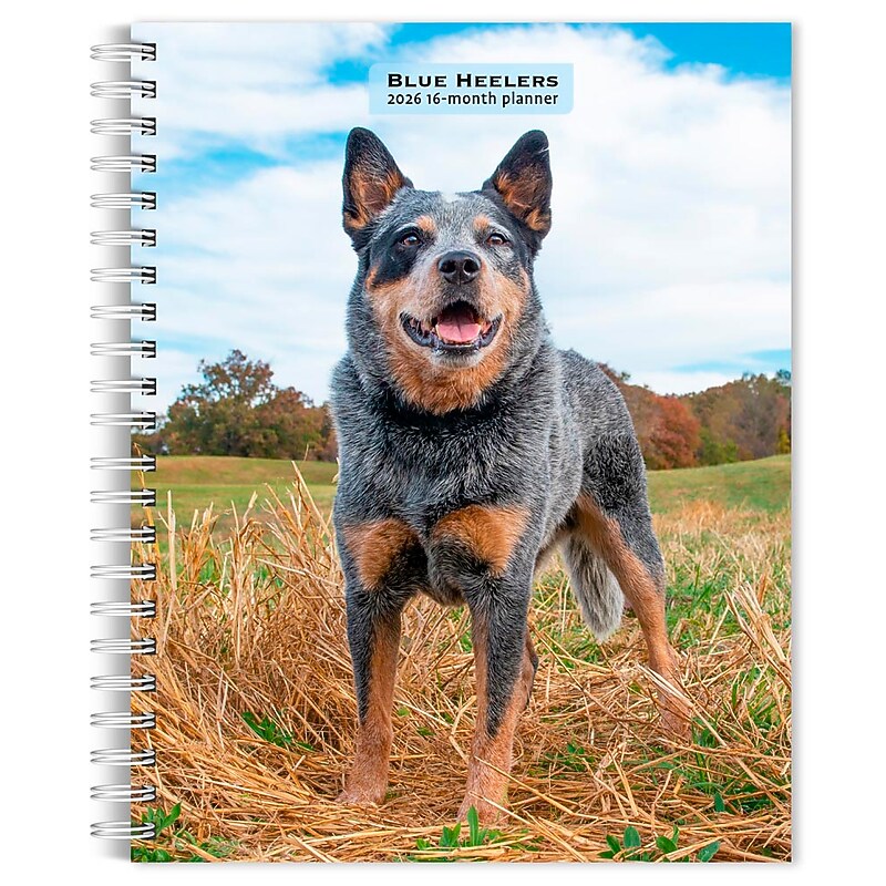 2026 BrownTrout Blue Heelers 6.5" x 7.75" Weekly Planner (9798330702503) image 1