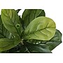 Monarch Specialties Inc. 41" Artificial Fiddle Tree in Pot (I 9540)~#|#~6FD5E31F-48F2-42B5-BAD3FF6401123247_sc7