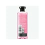 Herbal Essences Smooth Rose Hips Shampoo, 3.38 fl. oz. (19067900706)~#|#~6FF008E2-E643-45C4-B767972A854FDBE8_sc7
