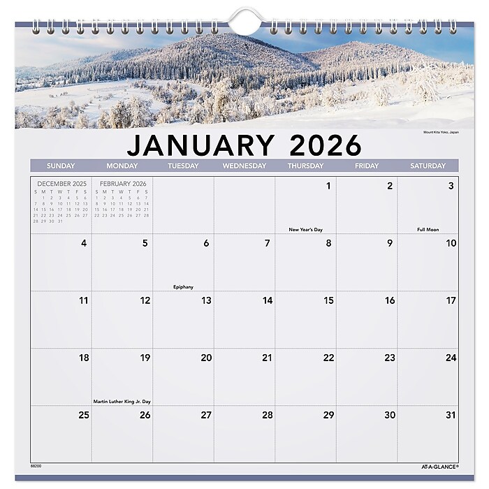 2026 AT-A-GLANCE Landscape 12