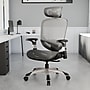 Staples Hyken Ergonomic Mesh Swivel Task Chair, Charcoal Gray (UN59464)~#|#~7009A649-CF15-4167-98154128E87AD9CA_sc7