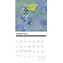 2026 Willow Creek God's Palette 12" x 12" Monthly Wall Calendar (51283X)~#|#~7010800E-32DB-4F58-8277F767ED7F61A0_sc7