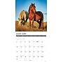 2027 Willow Creek Wild Horses 12" x 12" Monthly Wall Calendar, Assorted Colors (63019)~#|#~7014436E-500A-4223-8550A945A3441858_sc7