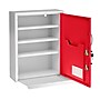 Viva Comfort Steel Medical Storage Cabinet with Dual Key Lock, 1.16 cu. ft. (999-06-RED)~#|#~7017BFFA-A955-4D90-AEF06700B2F6E6EC_sc7