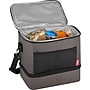 Thermos 12-Can Dual Compartment Cooler, Gray (EAC020103T)~#|#~70255002-765F-4C6F-AE6B674017DBAD85_sc7