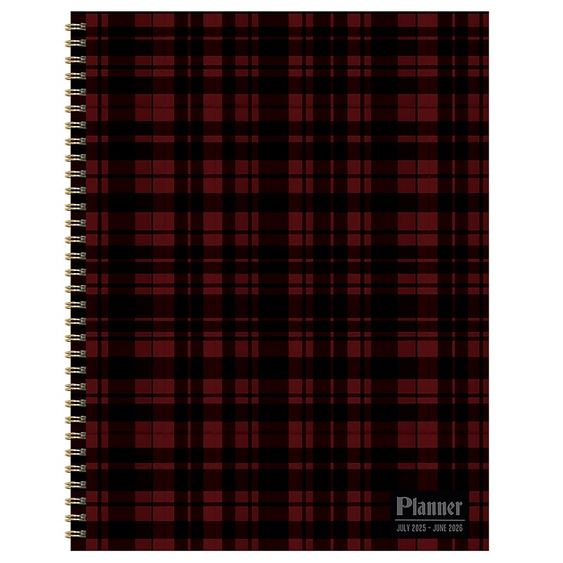 2025-2026 TF Publishing Gwen Plaid 9" x 11" Academic Year Weekly & Monthly Planner, Paperboard Cover, Multicolored (AY26-9710) image 1