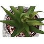 Monarch Specialties Inc. 6" Artificial Succulent Plant in Pot, 2/Set (I 9586)~#|#~7044F96E-8D3A-488B-ACC3672196055C38_sc7