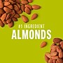 KIND Thins Gluten Free Nut Bar Variety Pack, 14.8 oz., 20 Bars/Box (41888)~#|#~704AB83D-D557-4605-86E30688B1BF378C_sc7