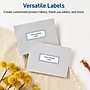 Avery Laser/Inkjet Rectangle Multipurpose Labels, 1" x 2-5/8", White, 160/Pack (S00F8H)~#|#~704E47FE-1265-4729-B2477E125E54AABC_sc7