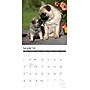 2027 Willow Creek Multi 12" x 12" Monthly Wall Calendar, Assorted Colors (61947)~#|#~7069BFC7-B7F9-4612-85179B3E0C58B9CE_sc7